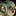 IconSmall FleshBeast.gif