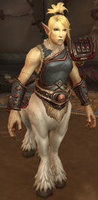 Jhara