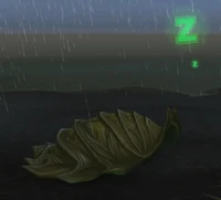 Image of Saltwater Snapper