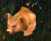 Image of Hyjal Bear Cub