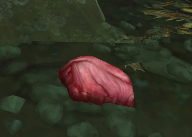 Raw Meat (object) - Wowpedia - Your wiki guide to the World of Warcraft