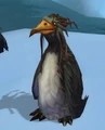 A red-eyed alternate type of Fjord Penguin.