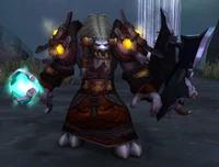 Earthen Ring Geomancer