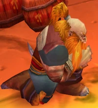 Image of Hammertoe Grez