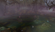 Shrouded Mire