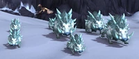 Image of Coldsnout Boar