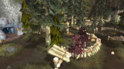 Blackwood Den from Cave (Cataclysm)