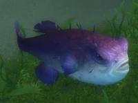 Image of Briny Puffer