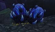 Storm drake eggs