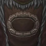 Tabard of the Earthen Ring