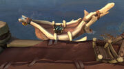 Tukkaraq's Boat