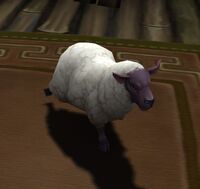 Image of Wayward Lamb