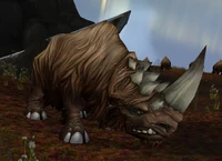 Image of Wooly Rhino Calf