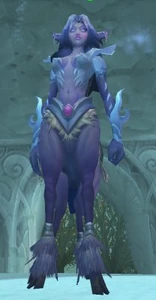 Image of Sarendryana