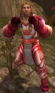 Image of Tirisfal Crusader