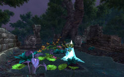 There is an island off the Western coast of Krasarang where tons of frogs  hop around watching other frogs cast spells and spit at each other. : r/wow