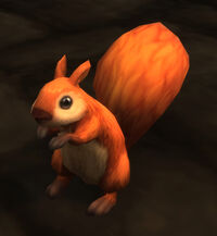 Image of Squirrel