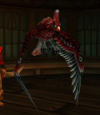 Image of Squawky Jr.