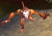Hozen Leaper