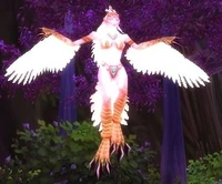 Image of Bloodfeather Sorceress