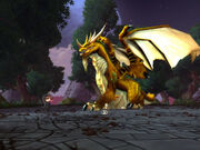 Kairoz dragon