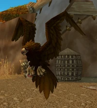 Image of Tonga's Eyes