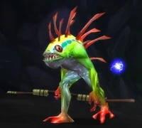 Image of Marsh Oracle