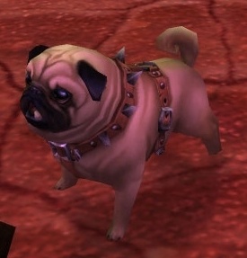 doge world of warcraft