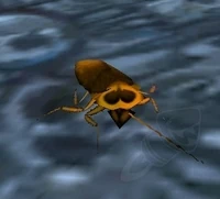 Image of Flesh-Eating Insect