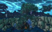 Amberglow Hollow.