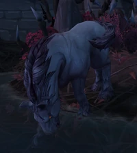 Image of Briarbane Stallion