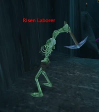 Image of Risen Laborer