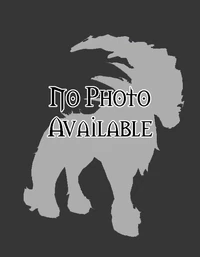 No image available