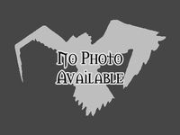 No image available