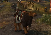 Highmountain Elderhorn