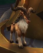 Lightforged draenei Stag