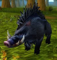 Image of Longsnout
