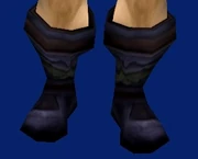 Glider's Boots.