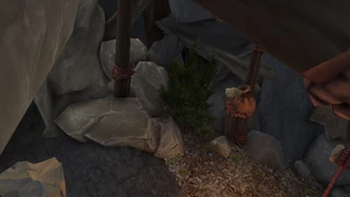 Orb 7: Next to the big cave, leaves blocking the small cave