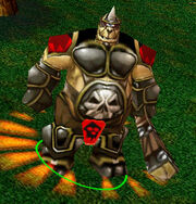 Ogre Warchief
