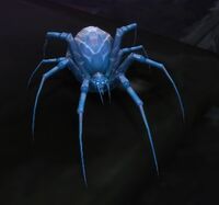 Image of Spire Spiderling