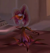 [Ammen Vale Lashling]