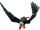 Vulture