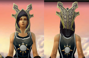 Battlecast Hood