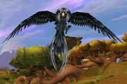Windroc Matriarch.jpg