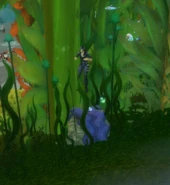 Adarrah waiting for players in Kelp'thar Forest.