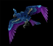 [Hyacinth Macaw]