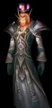Blood Elf Caster in Mana-Etched Regalia