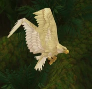 [White Tickbird Hatchling]