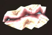 Winterfin Clam.jpg